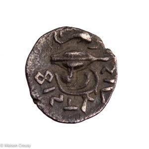 Campanie Phistelia Obole