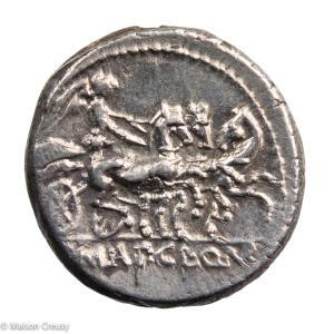 Mallia denier 111-110