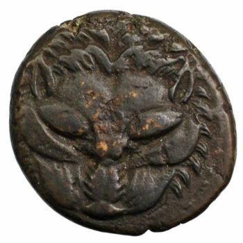 Bruttium Rhegium bronze