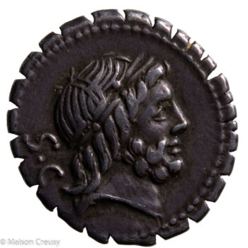 Antonia denier serratus