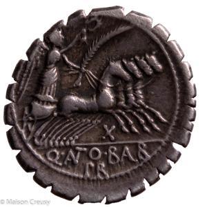 Antonia denier serratus