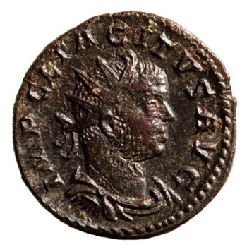 Tacite antoninien Lyon