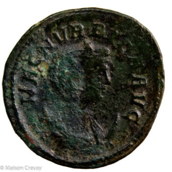 MagniaUrbicaAnto-S12424