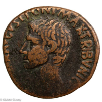 Ro-AugusteAsMaecilia-1