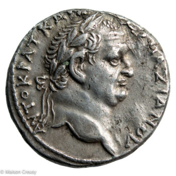 VespTitusTetraAntioch-RPC1941-1