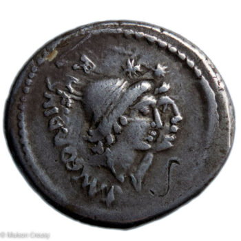 Cordia denier fauté