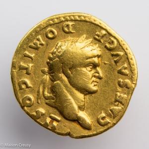 DomitienAureus-Calico812-1