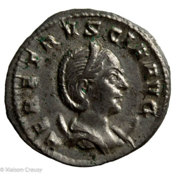 HerenniaEtrucAnto-S9495v