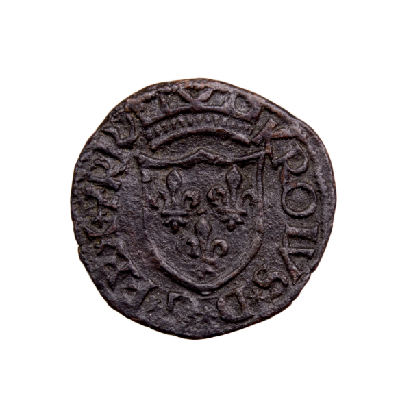 Charles VIII Cavalo struck in Aquila