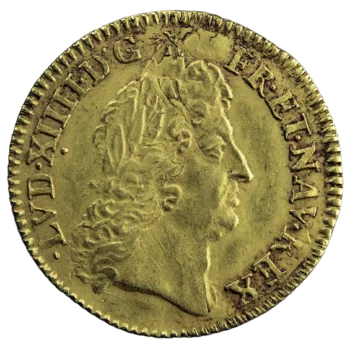 Louis XIV half louis à l'écu 1691 Lille réformation