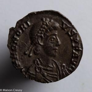 HonoriusSilique-S20968