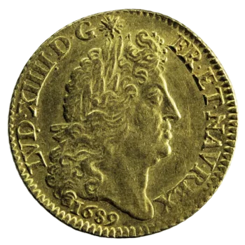 Louis XIV louis à la perruque 1689 Paris