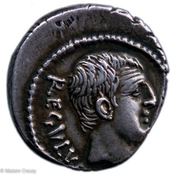 RR-Livineia-RBW1732-12466-1