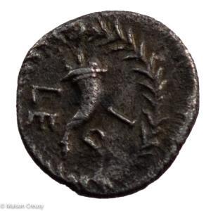 Cavaillon Lepide obole