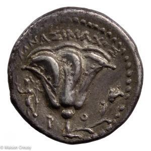 Iles de Carie Rhodes Didrachme