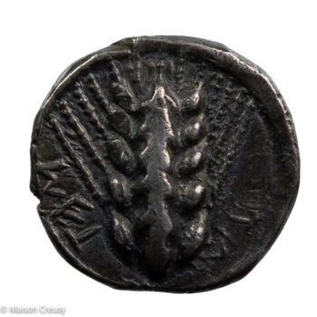 Grec-LucanieMetaponteTriobole-Hoover.1071-1