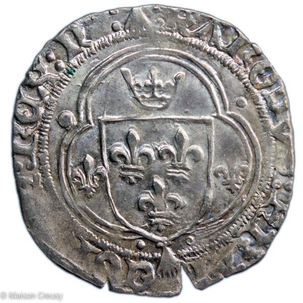 Roy-CharlesVIIIBlancBretagneNantes-Dy591-1