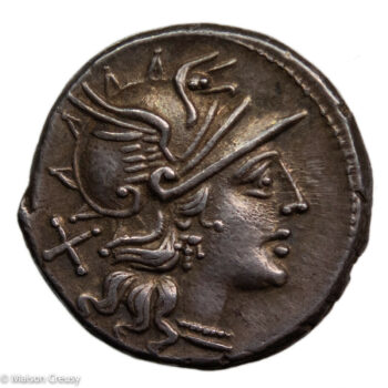 RR-JuniaDenierRBW893-1