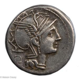 RR-Malliadenier-RBW1142-1