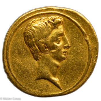 AntOr-AugustAureus-Bar109-1