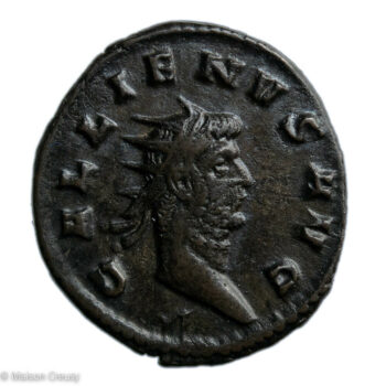 Ro-GallienAnto-S10402-1