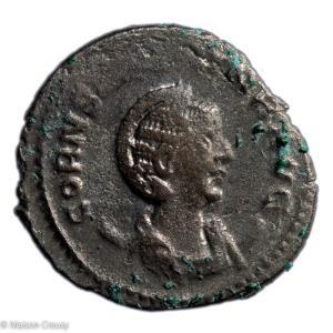 Ro-SalonineAnto-S10630-1