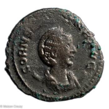 Ro-SalonineAnto-S10630-1