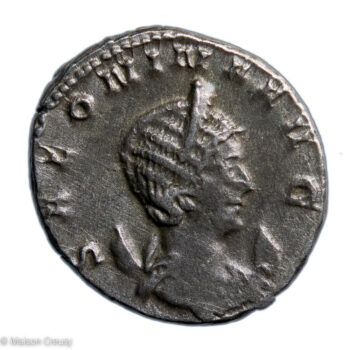 Ro-SalonineAnto-S10631-1