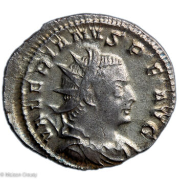 Ro-ValerienAnto-S9952-1