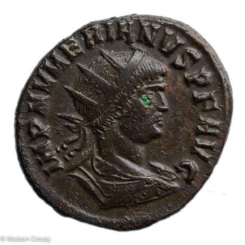 Numérien antoninien Ticinium