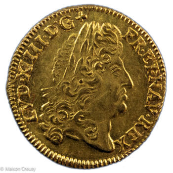 Louis XIV louis à l'écu 1691 Montpellier