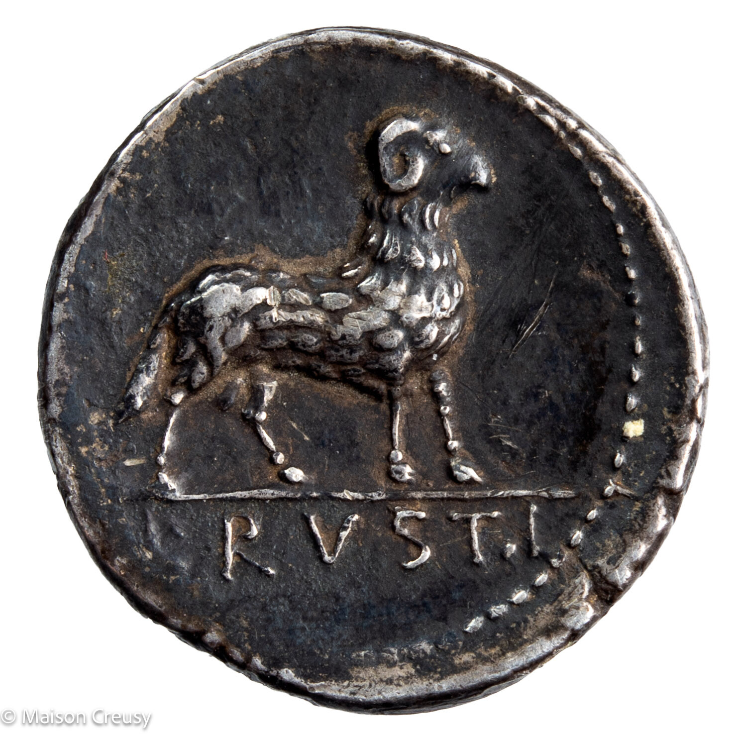 Rustia denier 76 avant