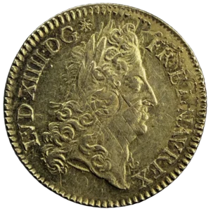 Louis XIV Double Louis à l’écu 1693 Paris Réformation