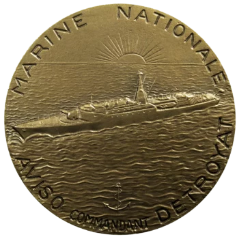 AE medal Aviso Detroyat