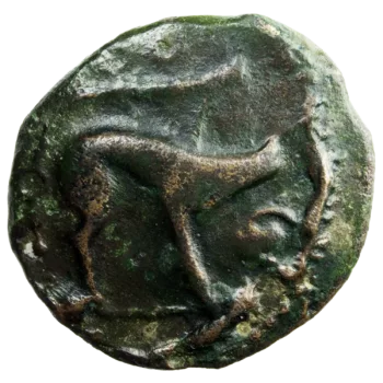 Ambiani bronze au sanglier