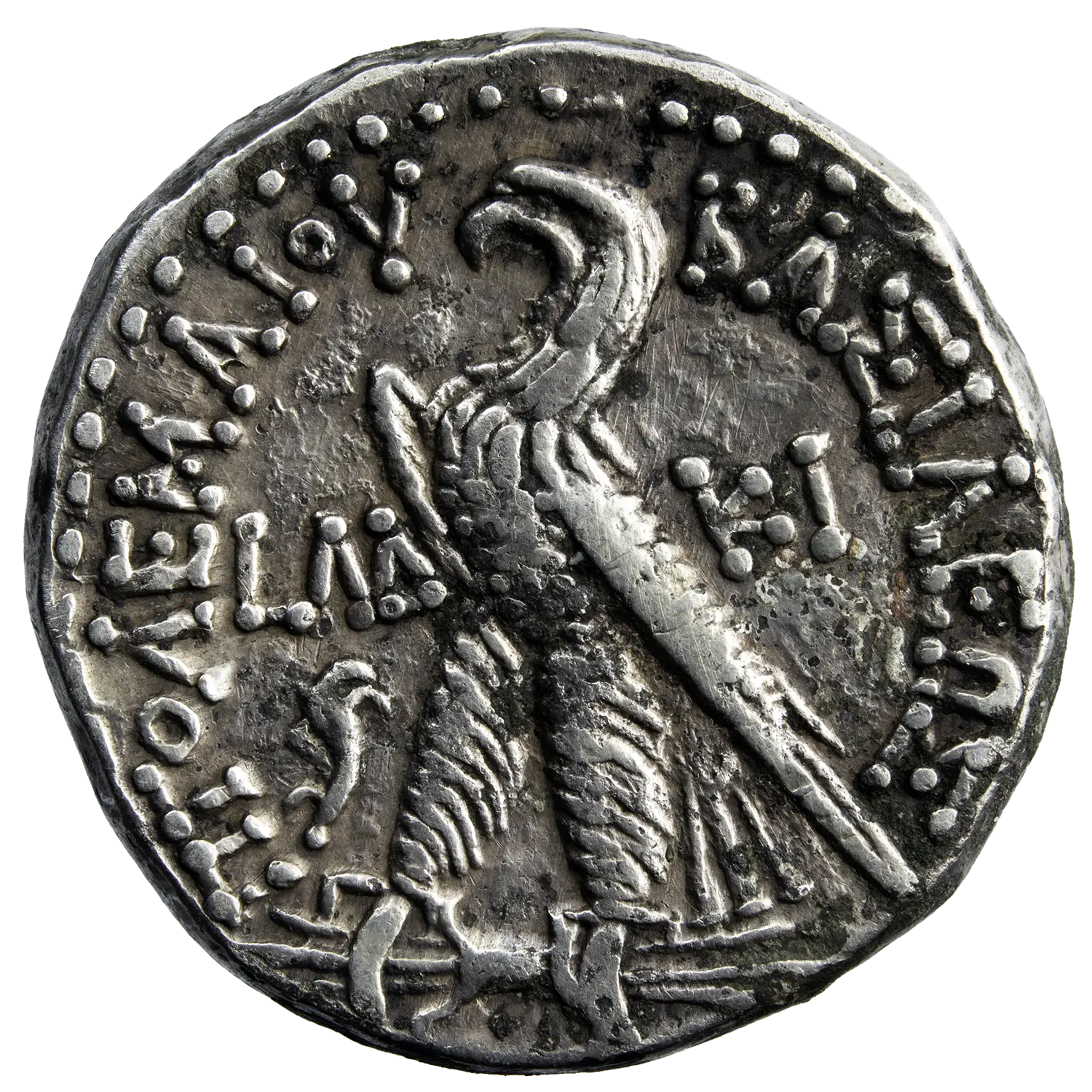 Egypte Ptolémée VIII tétradrachme Citium – Image 2