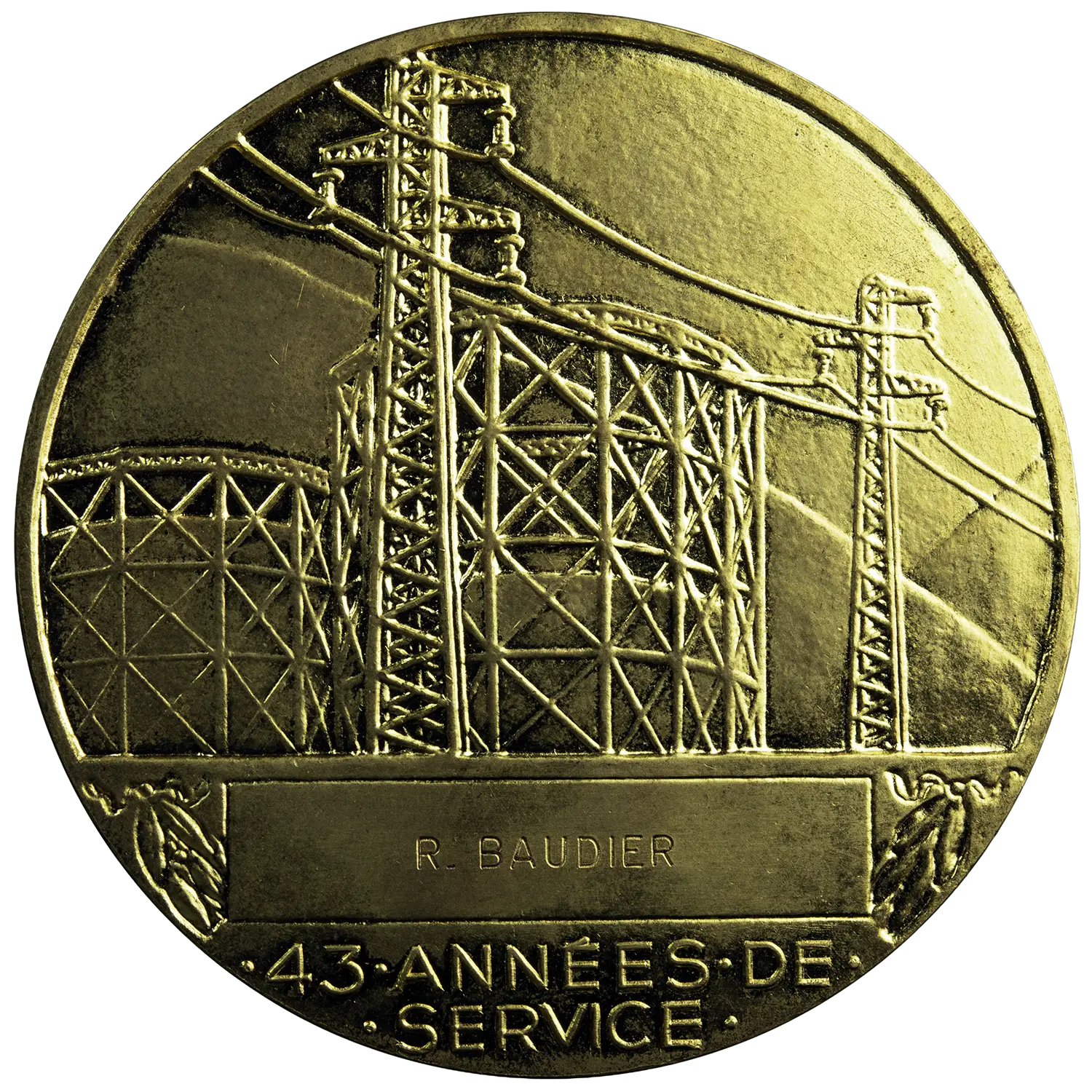 AE medal EDF GDF Gilted by Dropsy