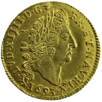 Louis XIV demi-louis aux 4L 1693 Rennes