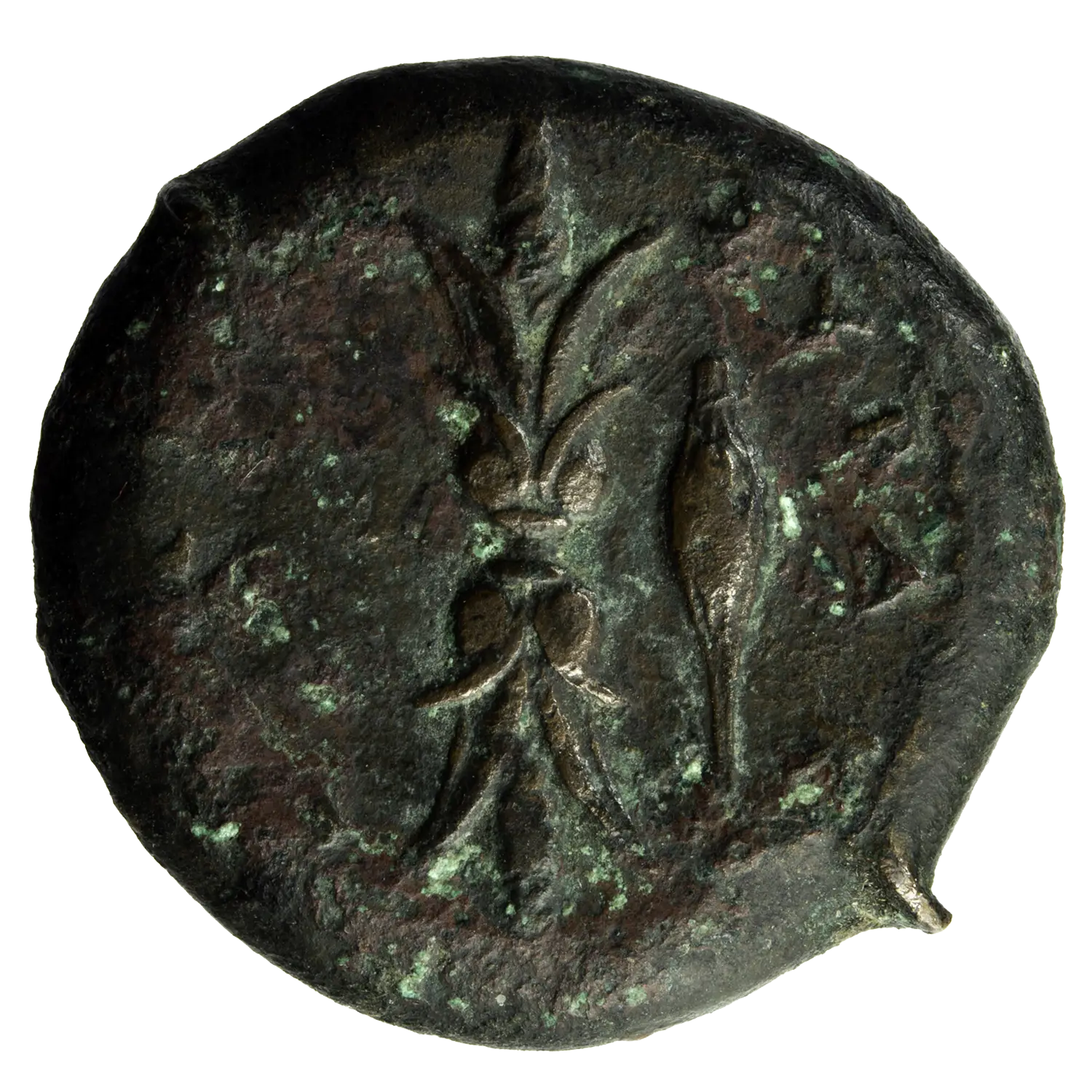 Sicile Syracuse Timoleon Æ Hemidrachm – Image 2