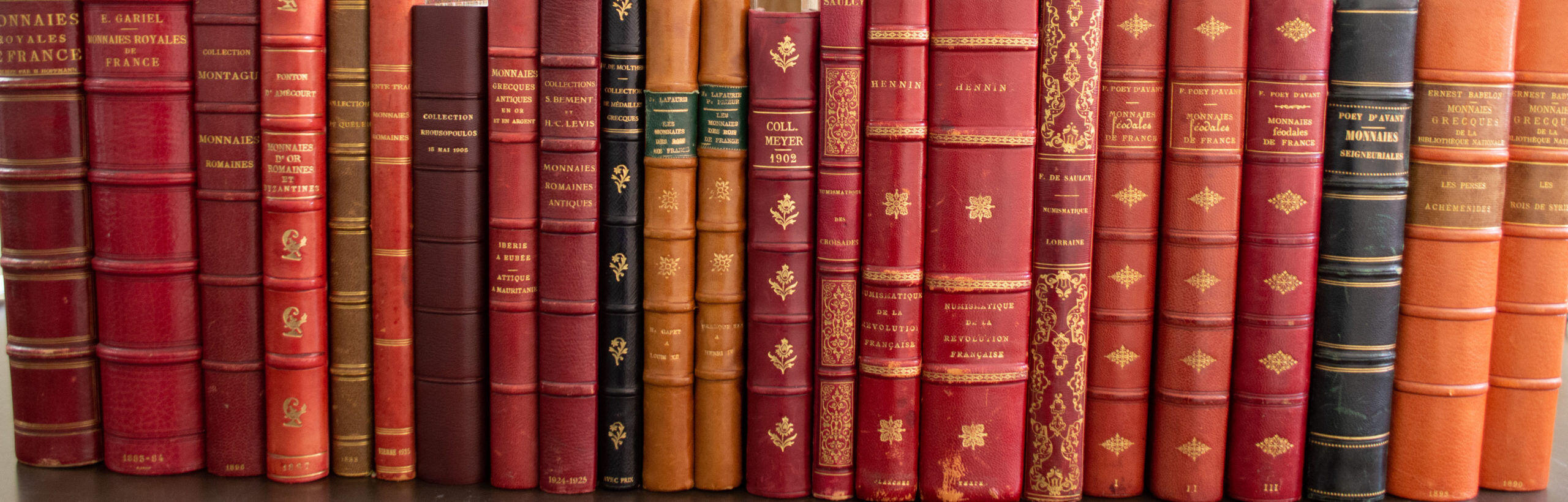 Fond Numismeo - DSC_0847