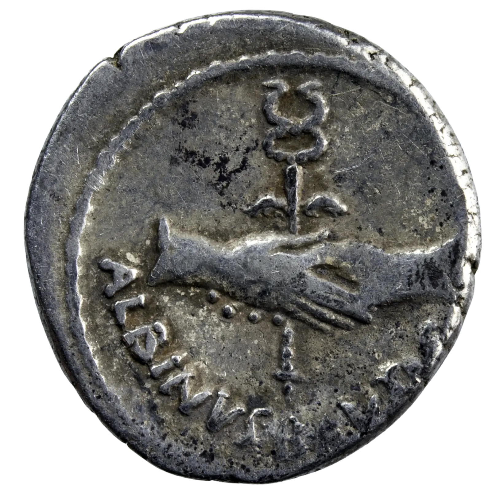 Decimus Junius Brutus Albinus AR denarius - Image 2