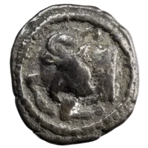 Macédoine Acanthe tetrobole