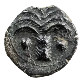 Zeugitanie Carthage Bronze Pegase et palmier